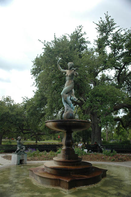 DSC_5208