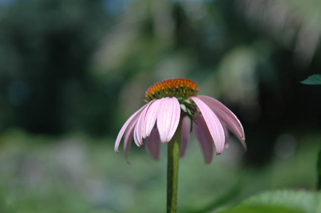 DSC_5304